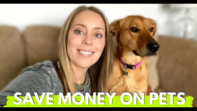 How to SAVE MONEY on Pet Care and Supplies 🐶🐱