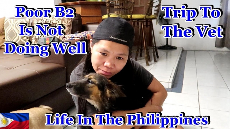 Poor B2 Is Not Doing Well – Another Trip To The Veterinarian Hospital