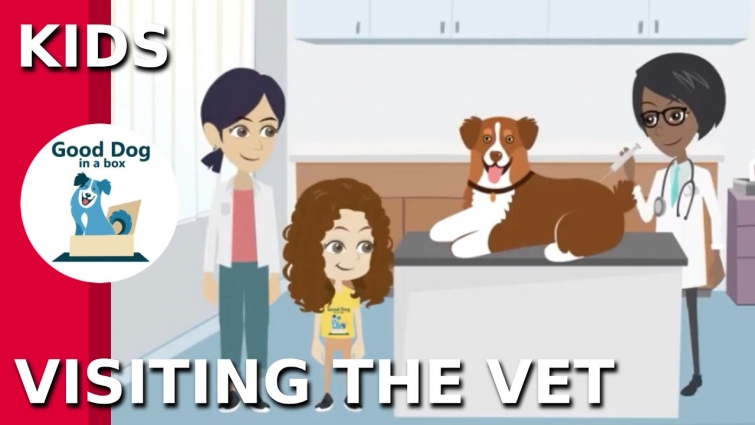 [VISITING THE VET] Being a Responsible Pet Owner | Good Dog In A Box (2019)