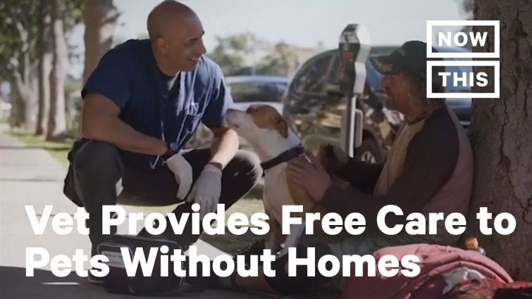 Vet Provides Free Medical Care to Pets of People Experiencing Homelessness | NowThis