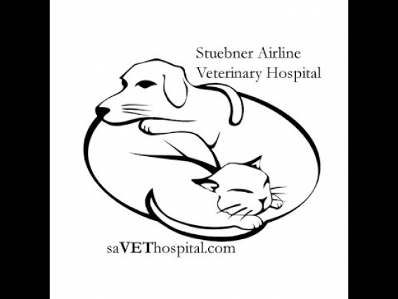 Stuebner Airline Veterinary Hospital Tour