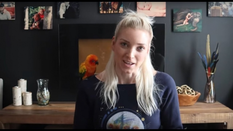 It's Been a Year Since… (Feat. Morgan!)