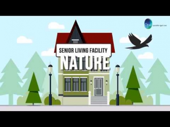 Aged Care 2D Animated Promo Video