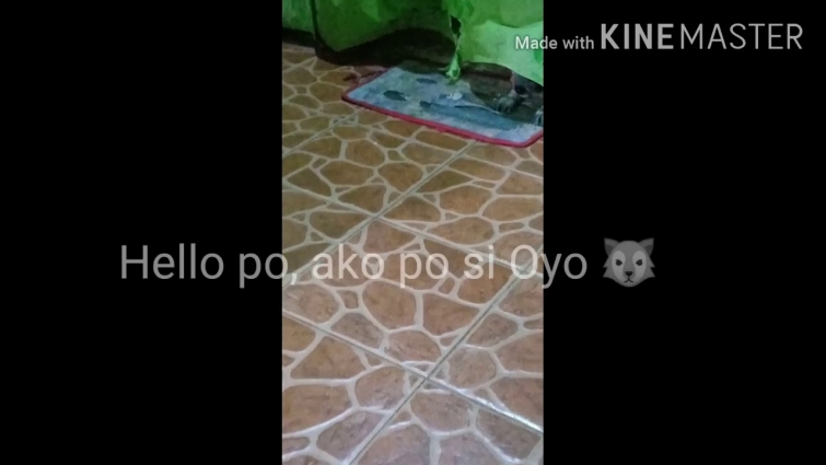 FINALLY LAST TUSOK NA NAMIN SA VET KO. YEHEEEY!!!(OYO 🐺💉) next year na naman 😘