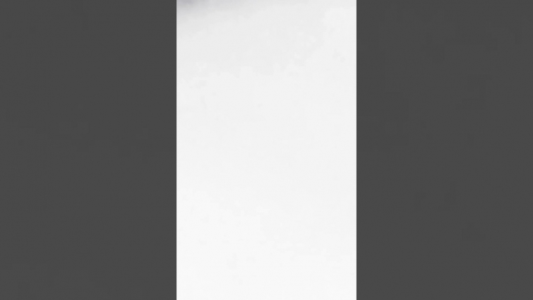 *ANOTHER* Parasite PROOF Video