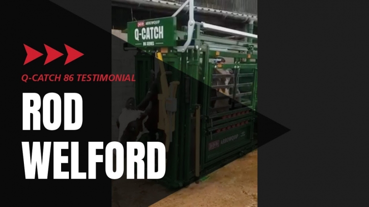 Cattle Crush Testimonial | Q-Catch 86 Series | Rod Welford, Veterinarian | Arrowquip