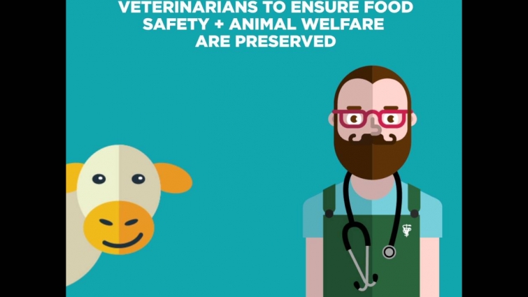 Food Safety and the Role of the Veterinarian