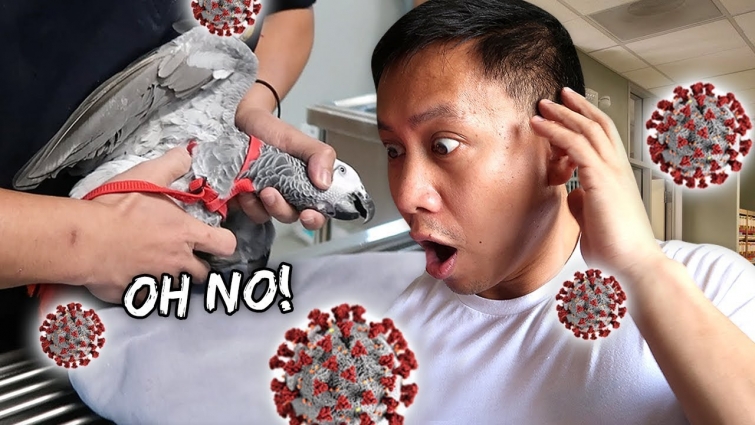 My Bird Needed A Vet ASAP – MANILA COVID19 QUARANTINE | Vlog #789