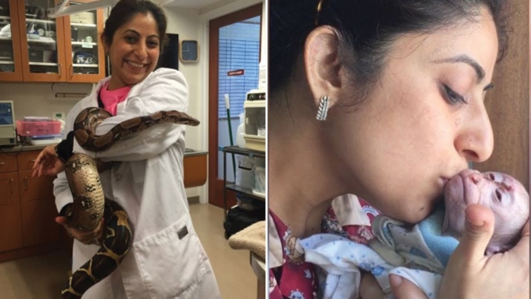 Mumbai Based Veterinarian Saves The Lives Of Animals