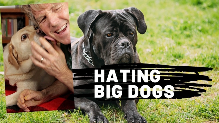Hating BIG Dogs