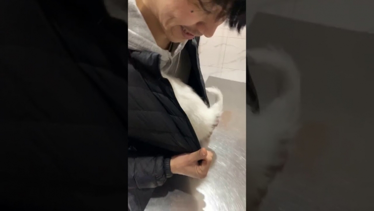 Puppy Hides Inside Owner's Jacket at Vet's