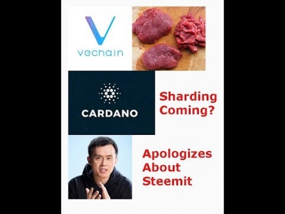 Vechain(VET) projects and delays, Cardano Sharding, Binance Apologizes