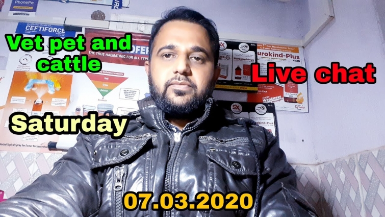Live Chat, Vet Pet And Cattle, 07.03.2020 Saturday