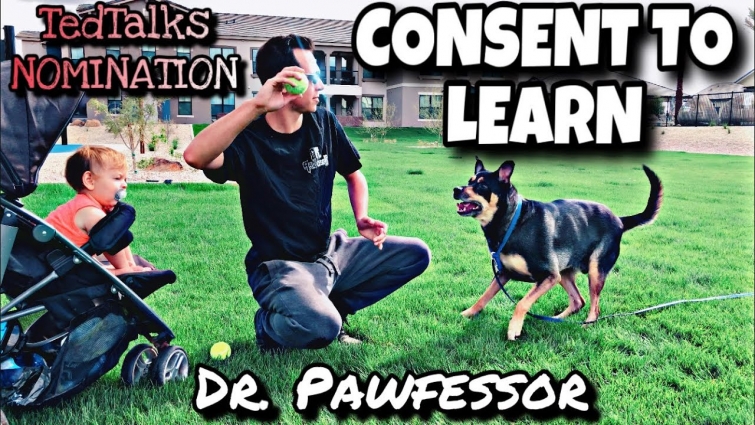 TED TALKS Nominee Dr. Pawfessor | The Modern Force & Fear Free Trainer / Teacher | Consent To Learn