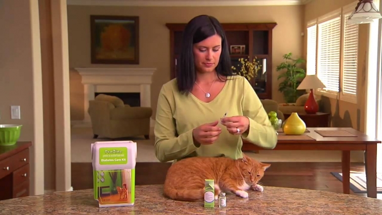 How  to Give Your Diabetic Cat an Insulin Injection