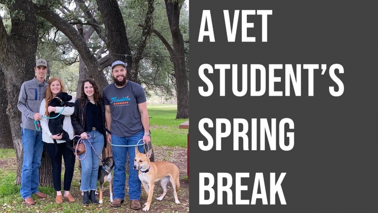 A Vet Student's Spring Break