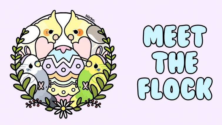 Meet The Feather Beautiful's Flock – Family Of Four🌸