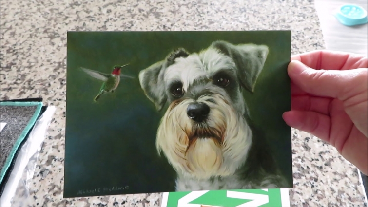 New Vet Rules  |  Life With 6 Schnauzers