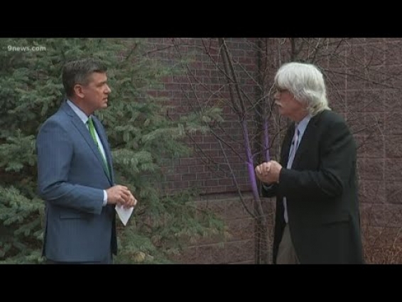 Coronavirus and pets: What you need to know