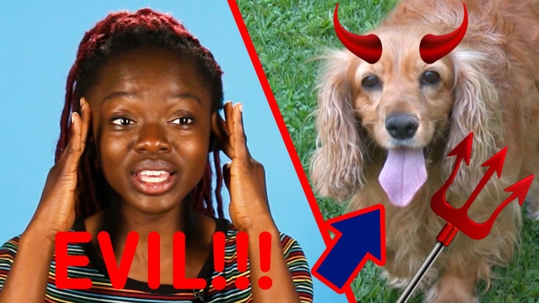 Pet Store Employee Horror Stories