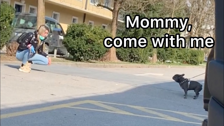 A Vet Didn't Allow Us To Come In / Dog Reaction