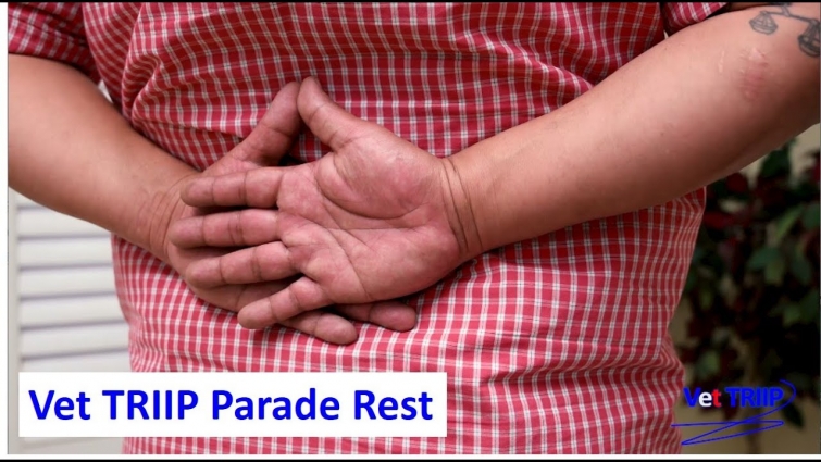 20200319 Vet TRIIP 01 How To Do Vet TRIIP Parade Rest with Renee and Richard