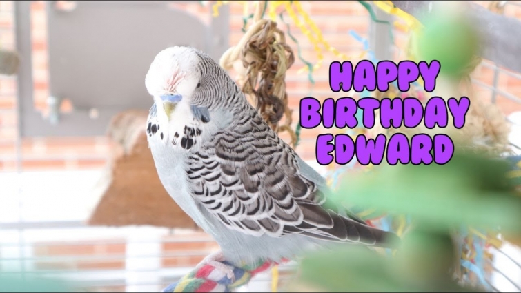 Edwards's 3rd Birthday! 🎂