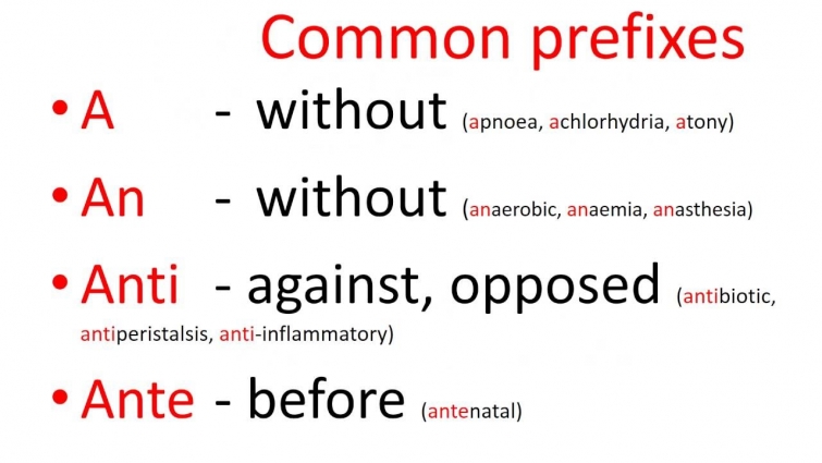 Medical terms – common prefixes
