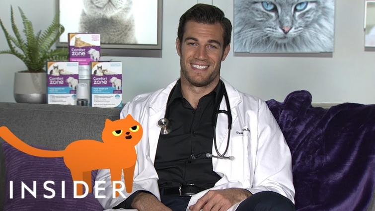 World's Sexiest Veterinarian Answers Your Biggest Pet Questions