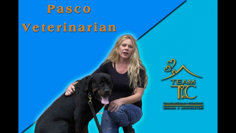 Pasco Veterinarian