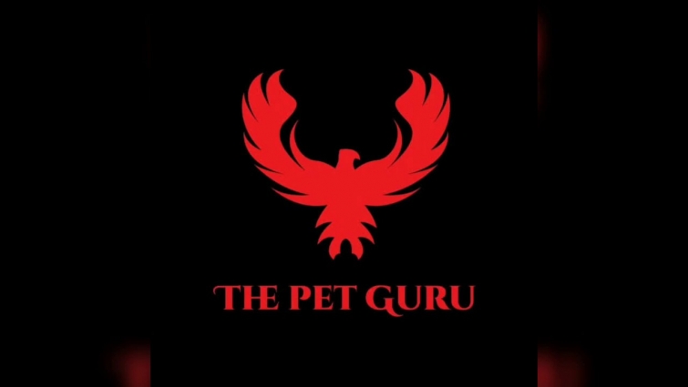 #lockdown #aseellover #petlover   Make video for The Pet Guru  (7006110554,9137560401,9920748969