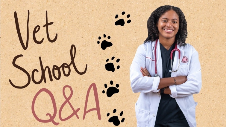 VETERINARY SCHOOL, SGU, & GRENADA Q&A | TIMESTAMPS ADDED