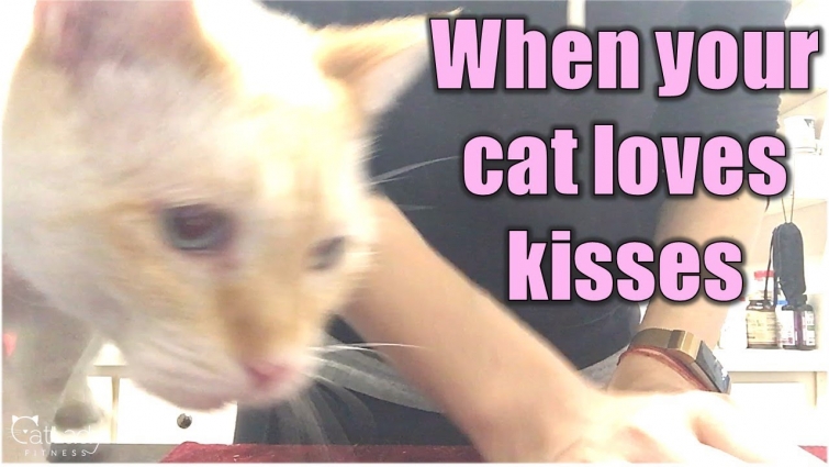 When your cat loves kisses… (Puppy's favorite game 😻)