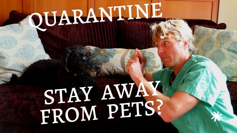 I'm In Quarantine- Stay Away From My Pets?