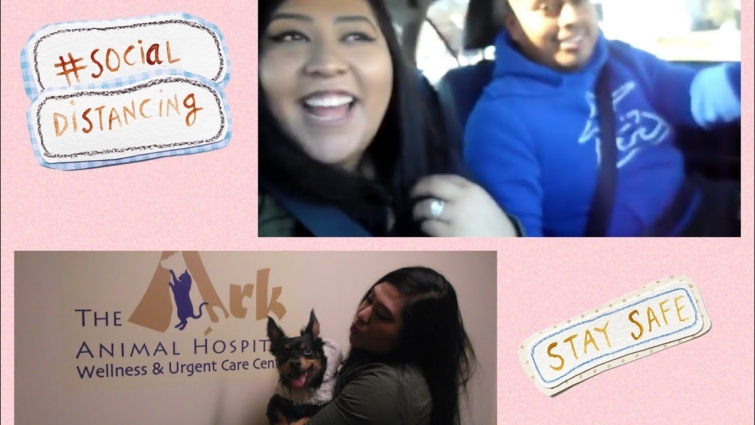 Broom Challenge | Valentines Day | Bentley Goes To The Vet