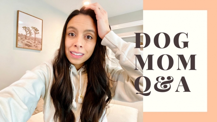From one dog mom to another 🐶 Answering YOUR dog questions