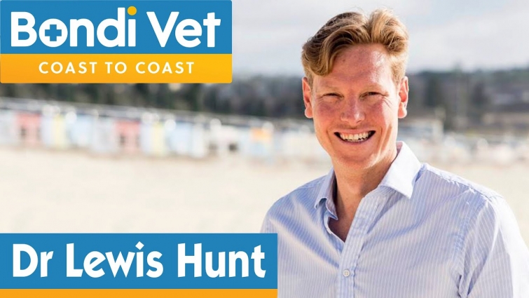 Meet New Bondi Vet | Lewis Hunt
