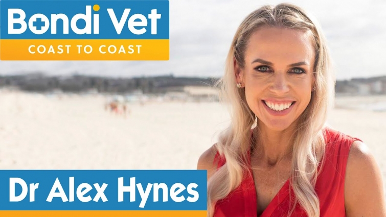 Meet New Bondi Vet | Alex Hynes