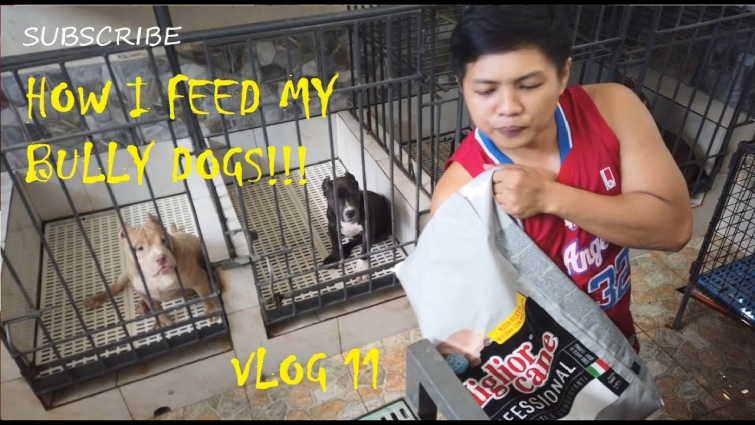 VLOG 11 HOW I FEED MY BULLY DOGS | DON RAIDER