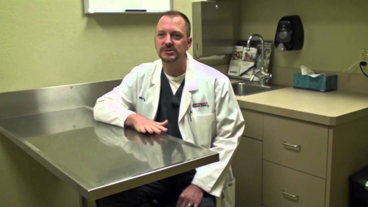 Dogs and marijuana: Veterinarian interview