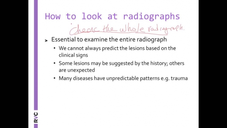 VET Talks – How to Read Radiographs