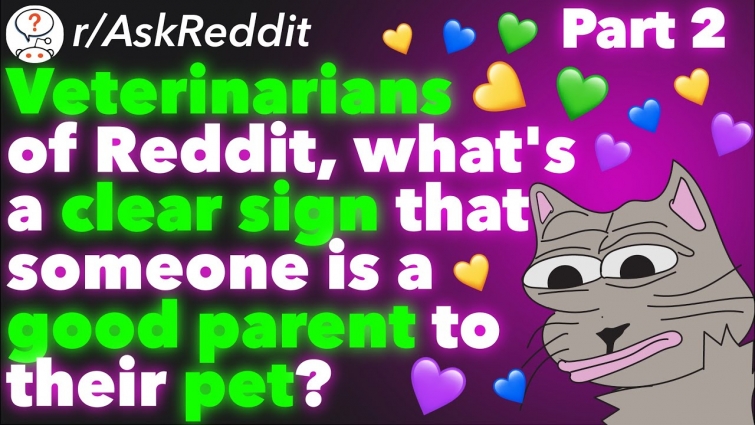 Veterinarians, What's A Clear Sign Someone Is A Good Parent To Their Pet? (r/AskReddit) – Part 2