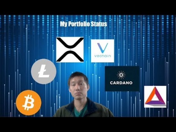 ADA, VET, XRP — Whats in my portfolio right now