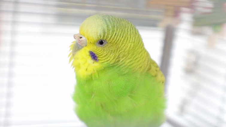 A Beautiful Shade Of Green 💚