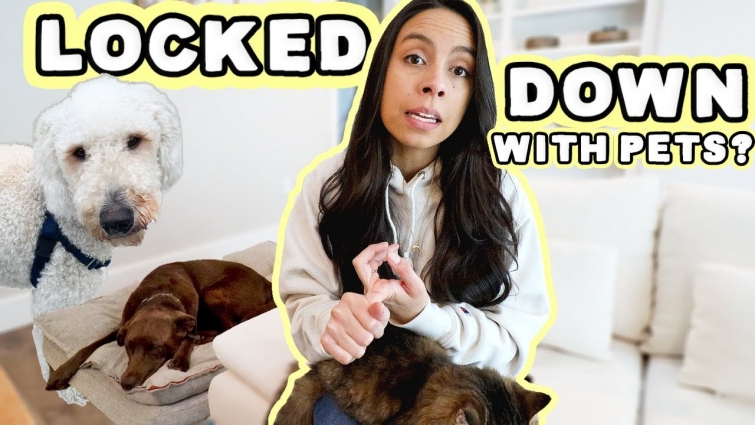 IS YOUR DOG PREPARED? 😳 How I'm preparing for emergencies & isolation