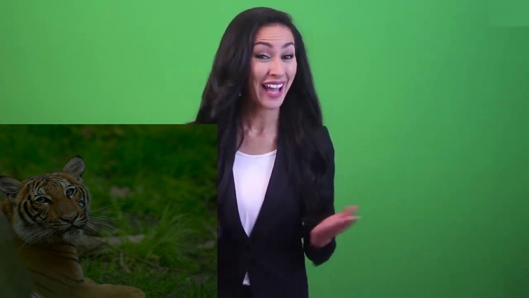 Tiger At Bronx Zoo Tests Positive For Coronavirus After Contact With Worker – Today News