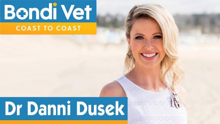 Meet New Bondi Vet | Danni Dusek