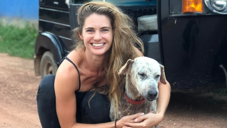 This veterinarian is a superhero for street dogs (Videos) World News