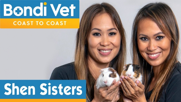 Meet New Bondi Vets | Shen Sisters