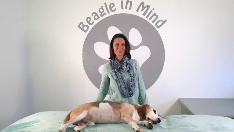 Keep Calm & Love your Beagle: Releasing Hostility & Anger